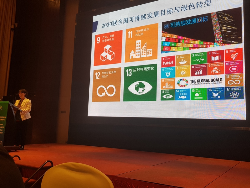 Madam Zhou Guomei, Executive Director general of China-ASEAN Environmental Cooperation Centre