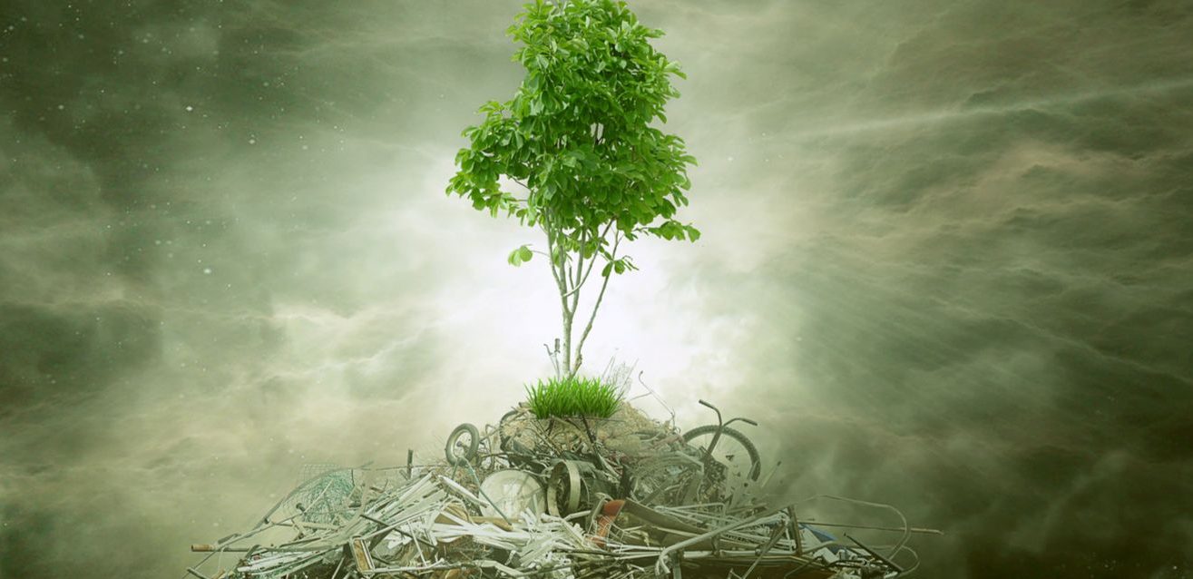 Waste Strategy Summit 2019