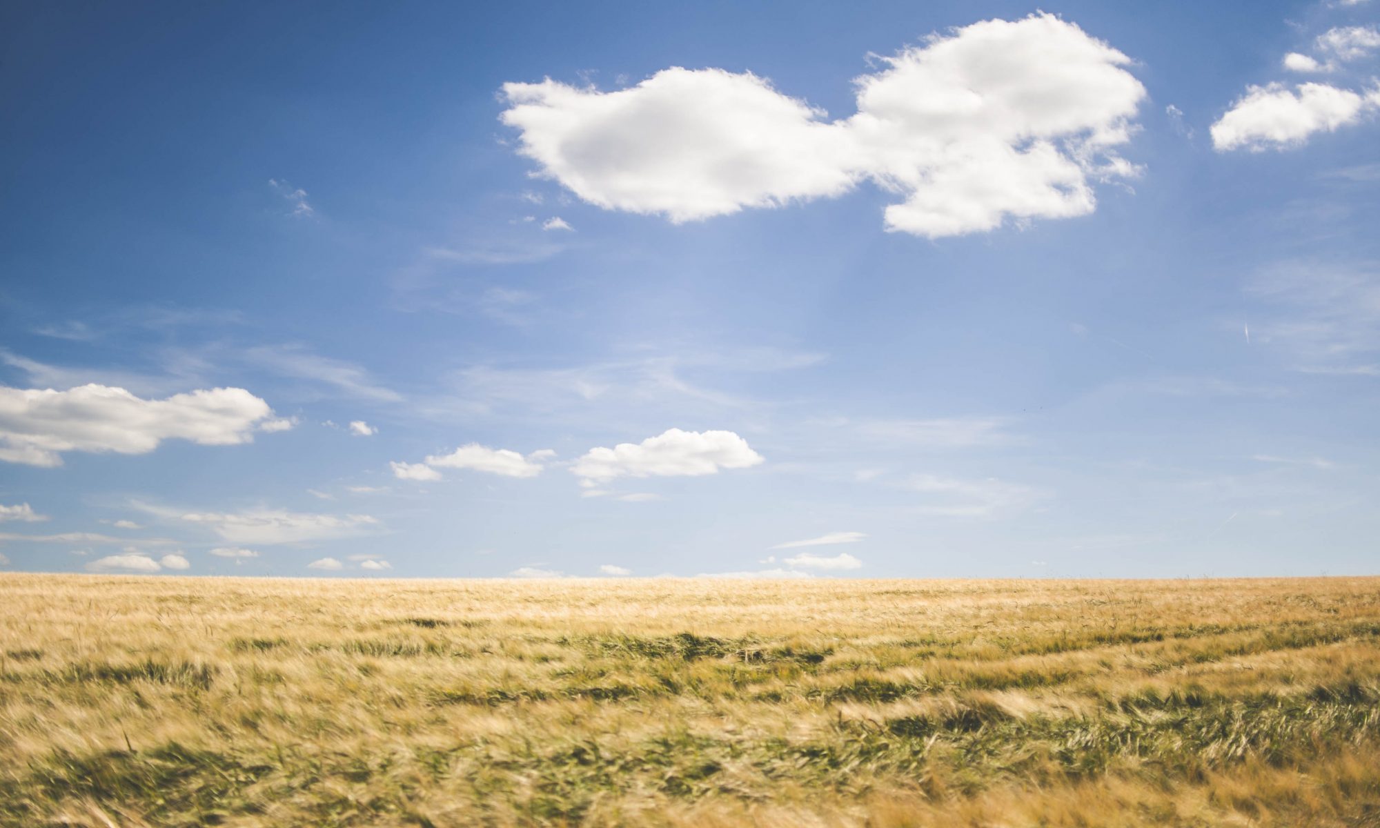Blue sky with white clouds over a field