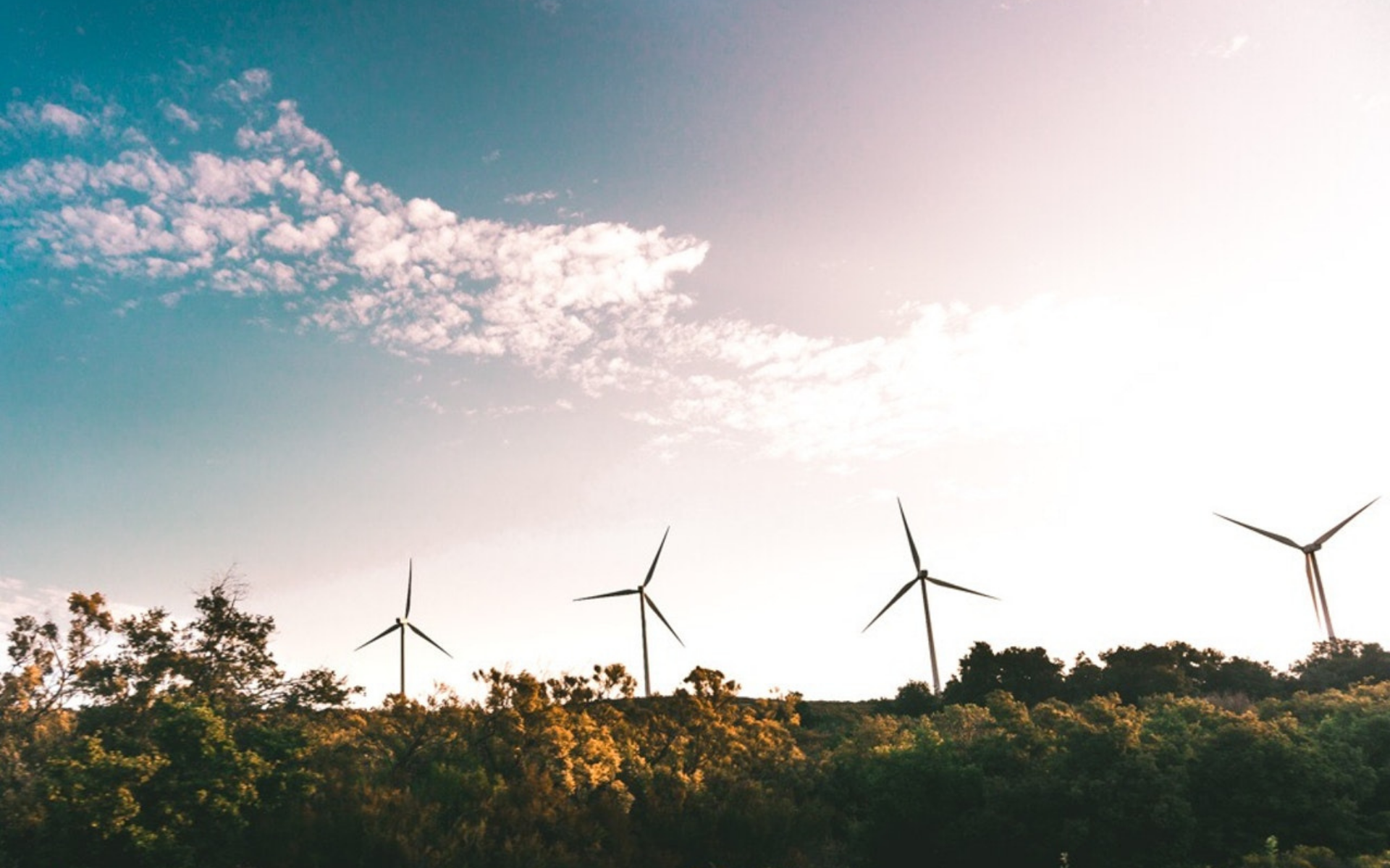 Wind turbines in bushland_Pexels