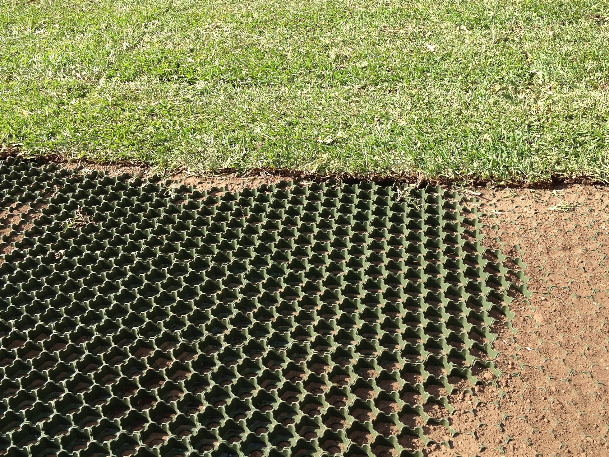 Grass-Cel