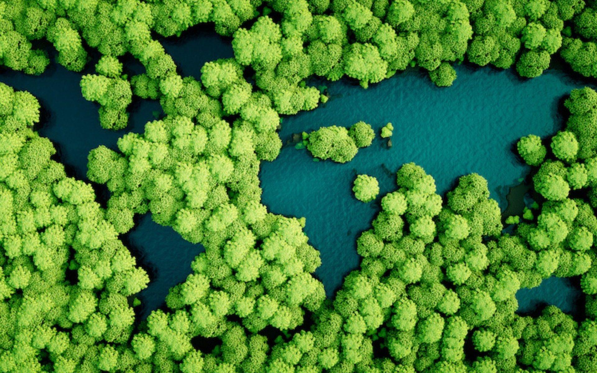 TLG Landscape
