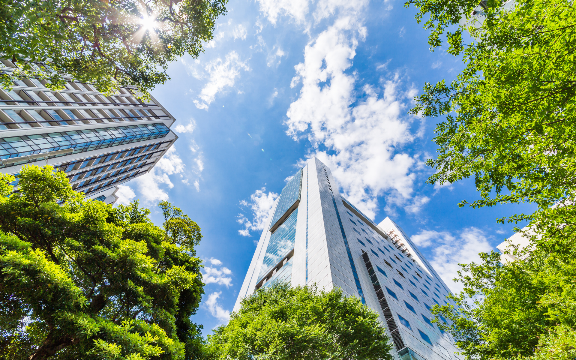 EPD Australasia and GECA Announce Agreement to Support Businesses