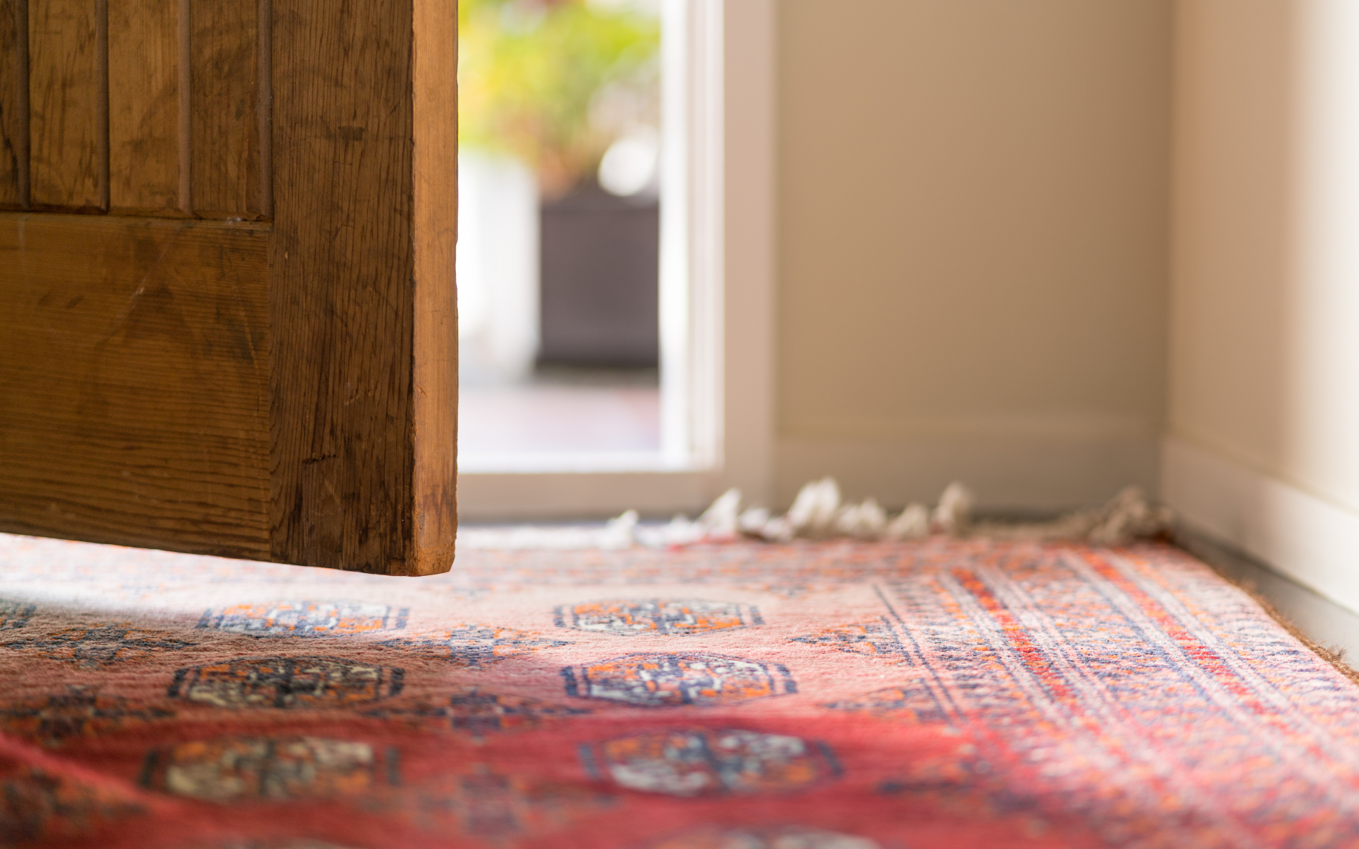 A rug in front of an open door with sunlight spilling in