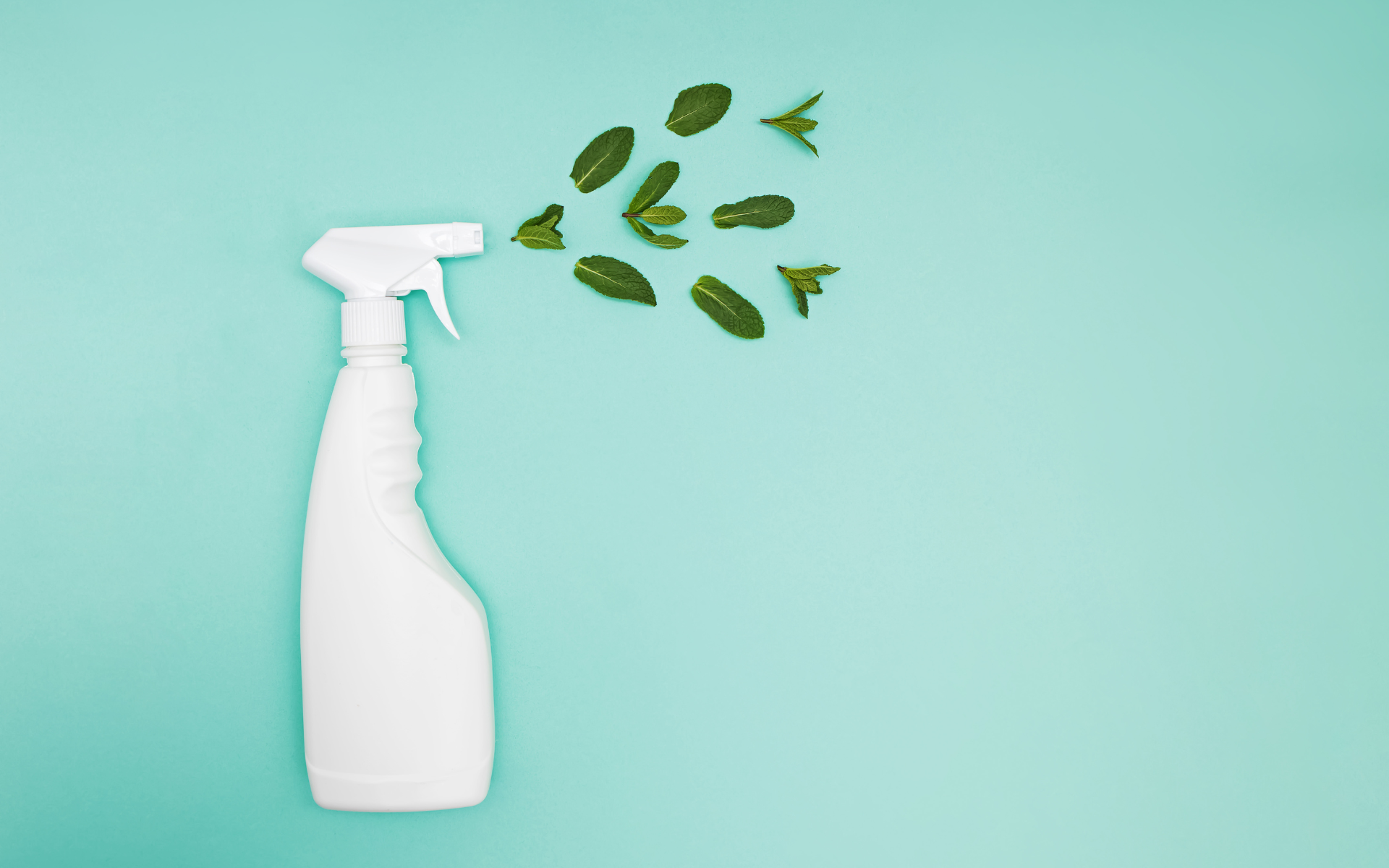 Meet GECA's New Cleaning Products Standard