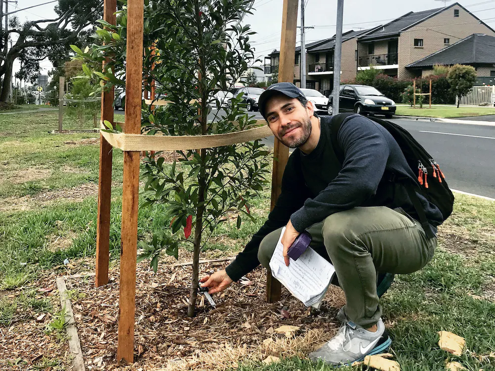 Author Manuel Esperon-Rodriguez checks on a young tree