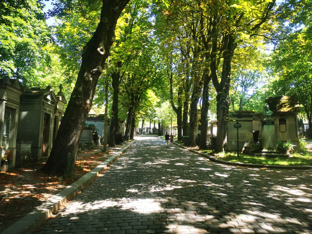 trees