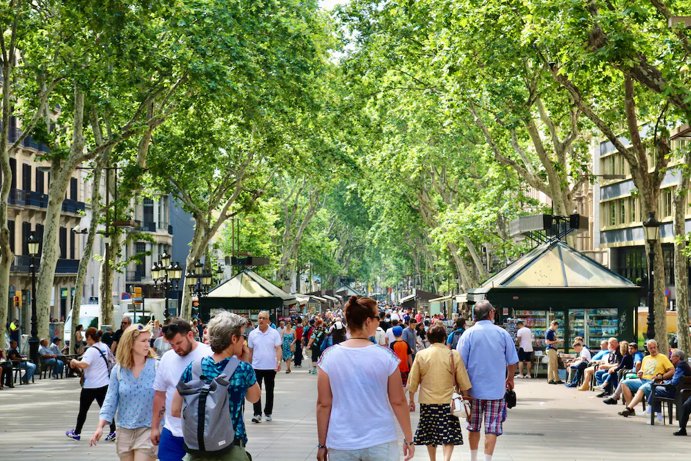 People walking on a tree lined street on a hot day