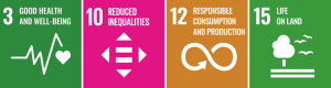 Core SDGs for Infant Mattresses standard