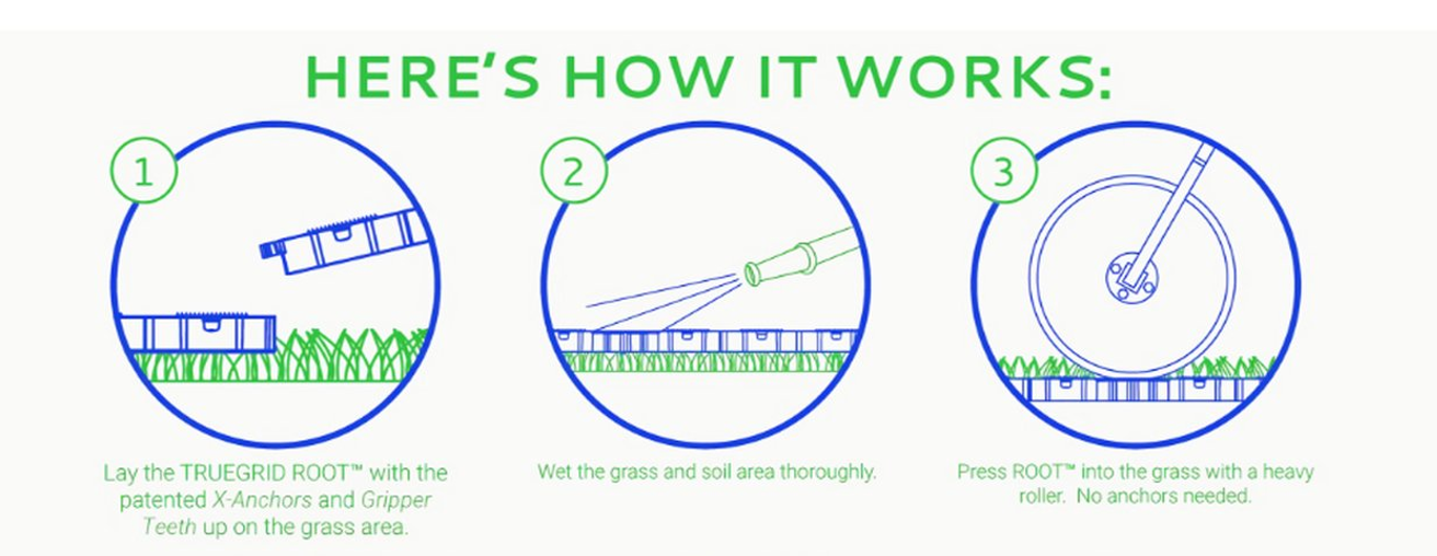 TRUEGRID ROOT infographic